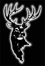 Antlered buck logo of artist Luke Buck