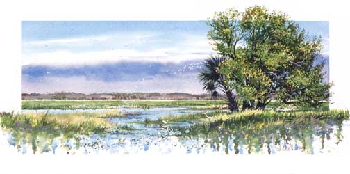 Click to return to the "Original Paintings" page.