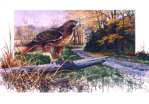 Click to return to the "Original Paintings" page.