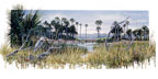 "Bayou Country"
