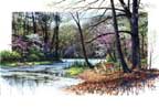 "Spring Lake"