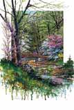 "Spring Bridge"