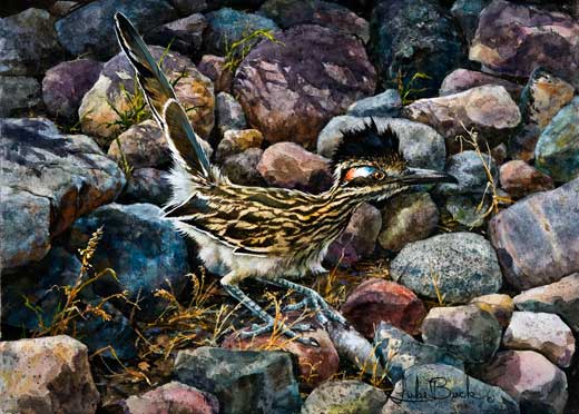 Click to return to the "Wildlife" page.