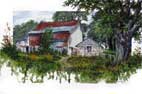"The Ferguson Farm"