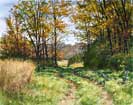 "A Lane In A Meadow"