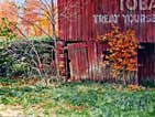 "The Barn Cellar"