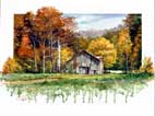 "The Meadow Barn"