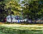 "River Cabin"