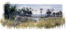 "Bayou Country"