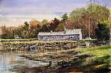 "Bayou Shed"