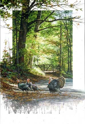 Click to return to the "Special Series - Licensed Prints" page.