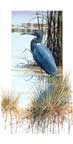 "Little Blue Heron"
