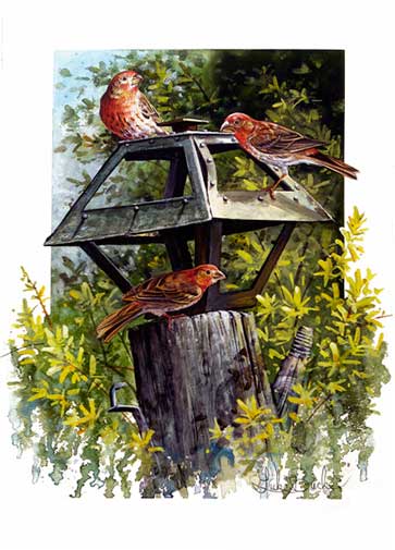 Click to return to the "Giclee Series" page.